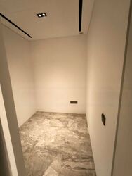 Cuscaden Reserve (D10), Condominium #436025551